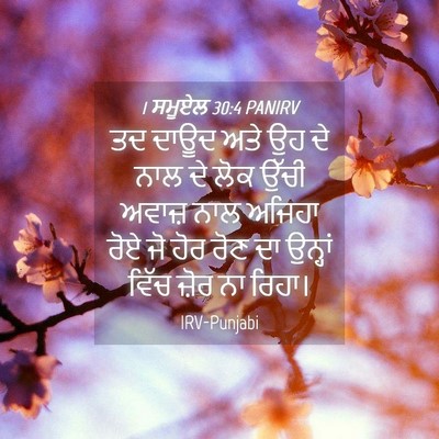 Picture 04 - 1 ਸਮੂਏਲ 30:4 PANIRV - ਤਦ ਦਾਊਦ ਅਤੇ ਉਹ ਦੇ - Bible Verse Picture
