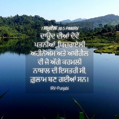 Picture 04 - 1 ਸਮੂਏਲ 30:5 PANIRV - ਦਾਊਦ ਦੀਆਂ ਦੋਵੇਂ - Bible Verse Picture