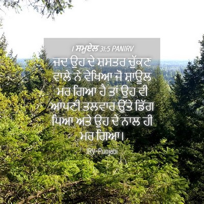 Picture 04 - 1 ਸਮੂਏਲ 31:5 PANIRV - ਜਦ ਉਹ ਦੇ ਸ਼ਸਤਰ - Bible Verse Picture