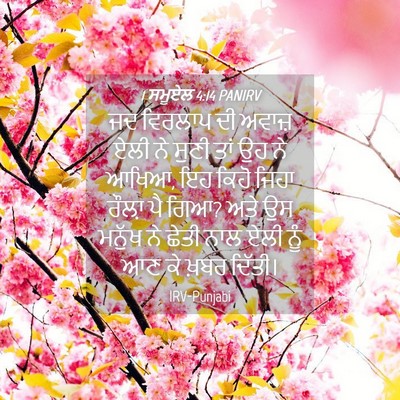Picture 04 - 1 ਸਮੂਏਲ 4:14 PANIRV - ਜਦ ਵਿਰਲਾਪ ਦੀ ਅਵਾਜ਼ - Bible Verse Picture