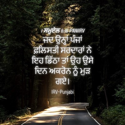 Picture 04 - 1 ਸਮੂਏਲ 6:16 PANIRV - ਜਦ ਉਨ੍ਹਾਂ ਪੰਜਾਂ - Bible Verse Picture
