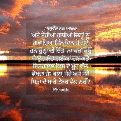 Picture 04 - 1 ਸਮੂਏਲ 9:20 PANIRV - ਅਤੇ ਤੇਰੀਆਂ ਗਧੀਆਂ - Bible Verse Picture