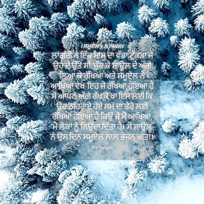 Picture 04 - 1 ਸਮੂਏਲ 9:24 PANIRV - ਲਾਂਗਰੀ ਨੇ ਇੱਕ ਮਾਸ - Bible Verse Picture