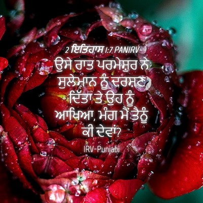 Picture 04 - 2 ਇਤਿਹਾਸ 1:7 PANIRV - ਉਸੇ ਰਾਤ ਪਰਮੇਸ਼ੁਰ - Bible Verse Picture