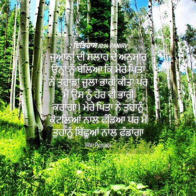 Picture 04 - 2 ਇਤਿਹਾਸ 10:14 PANIRV - ਜੁਆਨਾਂ ਦੀ ਸਲਾਹ ਦੇ - Bible Verse Picture