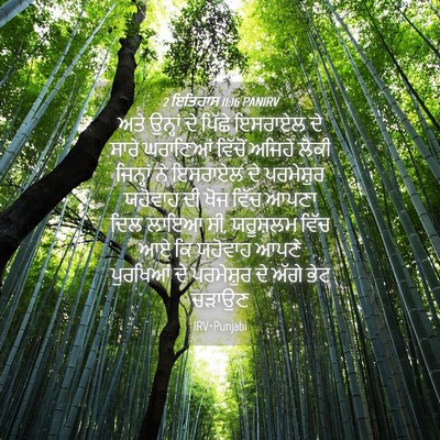 Picture 04 - 2 ਇਤਿਹਾਸ 11:16 PANIRV - ਅਤੇ ਉਨ੍ਹਾਂ ਦੇ - Bible Verse Picture