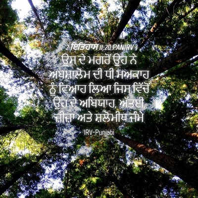 Picture 04 - 2 ਇਤਿਹਾਸ 11:20 PANIRV - ਉਸ ਦੇ ਮਗਰੋਂ ਉਹ ਨੇ - Bible Verse Picture