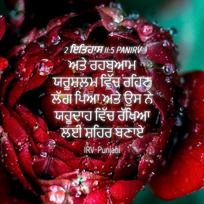 Picture 04 - 2 ਇਤਿਹਾਸ 11:5 PANIRV - ਅਤੇ ਰਹਬੁਆਮ - Bible Verse Picture