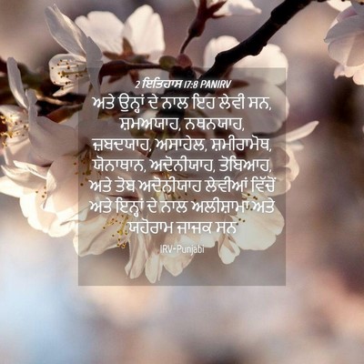 Picture 04 - 2 ਇਤਿਹਾਸ 17:8 PANIRV - ਅਤੇ ਉਨ੍ਹਾਂ ਦੇ ਨਾਲ - Bible Verse Picture
