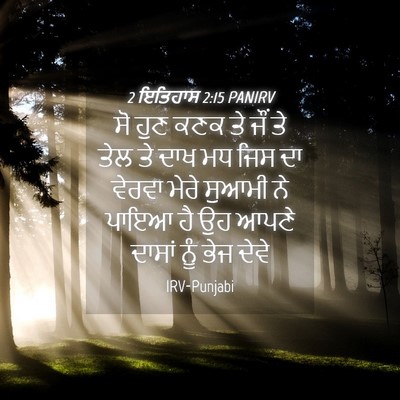 Picture 04 - 2 ਇਤਿਹਾਸ 2:15 PANIRV - ਸੋ ਹੁਣ ਕਣਕ ਤੇ ਜੌਂ - Bible Verse Picture