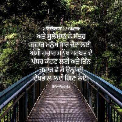 Picture 04 - 2 ਇਤਿਹਾਸ 2:2 PANIRV - ਅਤੇ ਸੁਲੇਮਾਨ ਨੇ - Bible Verse Picture