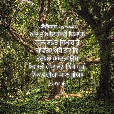 Picture 04 - 2 ਇਤਿਹਾਸ 21:15 PANIRV - ਅਤੇ ਤੂੰ ਆਂਦਰਾਂ ਦੀ - Bible Verse Picture