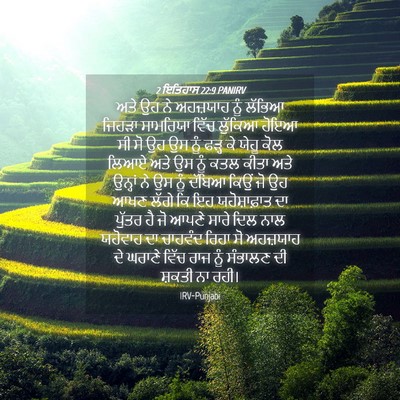 Picture 04 - 2 ਇਤਿਹਾਸ 22:9 PANIRV - ਅਤੇ ਉਹ ਨੇ ਅਹਜ਼ਯਾਹ - Bible Verse Picture