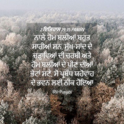 Picture 04 - 2 ਇਤਿਹਾਸ 29:35 PANIRV - ਨਾਲੇ ਹੋਮ ਬਲੀਆਂ - Bible Verse Picture