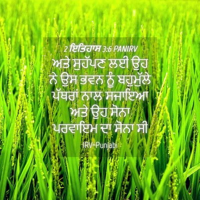 Picture 04 - 2 ਇਤਿਹਾਸ 3:6 PANIRV - ਅਤੇ ਸੁਹੱਪਣ ਲਈ ਉਹ ਨੇ - Bible Verse Picture