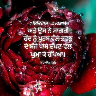 Picture 04 - 2 ਇਤਿਹਾਸ 4:10 PANIRV - ਅਤੇ ਉਸ ਨੇ ਸਾਗਰੀ ਹੌਦ - Bible Verse Picture