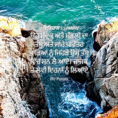 Picture 04 - 2 ਇਤਿਹਾਸ 5:5 PANIRV - ਉਹ ਸੰਦੂਕ ਅਤੇ ਮੰਡਲੀ - Bible Verse Picture