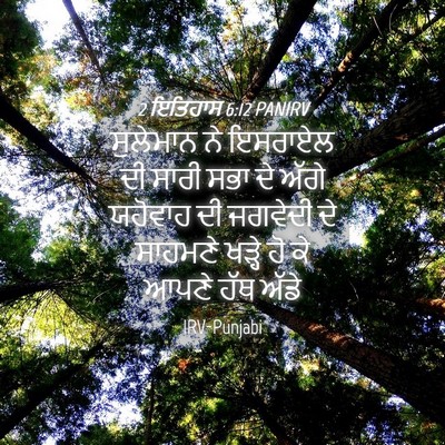 Picture 04 - 2 ਇਤਿਹਾਸ 6:12 PANIRV - ਸੁਲੇਮਾਨ ਨੇ ਇਸਰਾਏਲ - Bible Verse Picture