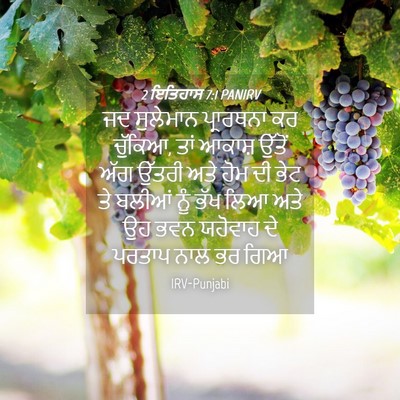 Picture 04 - 2 ਇਤਿਹਾਸ 7:1 PANIRV - ਜਦ ਸੁਲੇਮਾਨ - Bible Verse Picture