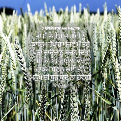 Picture 04 - 2 ਇਤਿਹਾਸ 7:18 PANIRV - ਤਾਂ ਮੈਂ ਤੇਰੀ ਰਾਜ - Bible Verse Picture