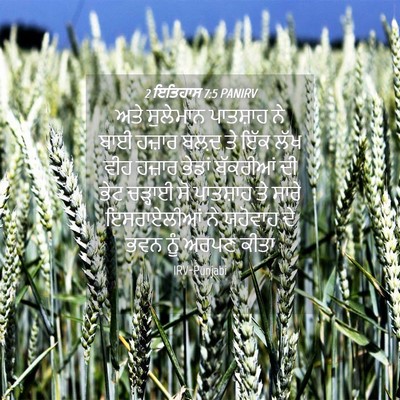 Picture 04 - 2 ਇਤਿਹਾਸ 7:5 PANIRV - ਅਤੇ ਸੁਲੇਮਾਨ - Bible Verse Picture