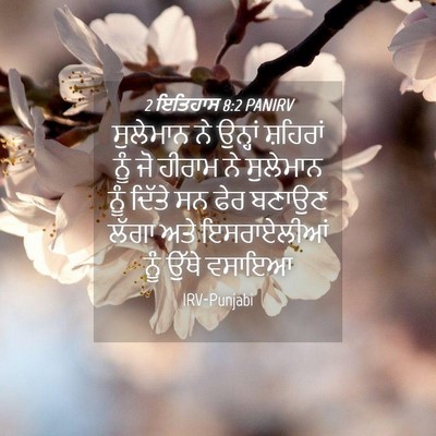 Picture 04 - 2 ਇਤਿਹਾਸ 8:2 PANIRV - ਸੁਲੇਮਾਨ ਨੇ ਉਨ੍ਹਾਂ - Bible Verse Picture