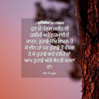 Picture 04 - 2 ਕੁਰਿੰਥੀਆਂ 10:1 PANIRV - ਹੁਣ ਮੈਂ ਪੌਲੁਸ ਮਸੀਹ - Bible Verse Picture