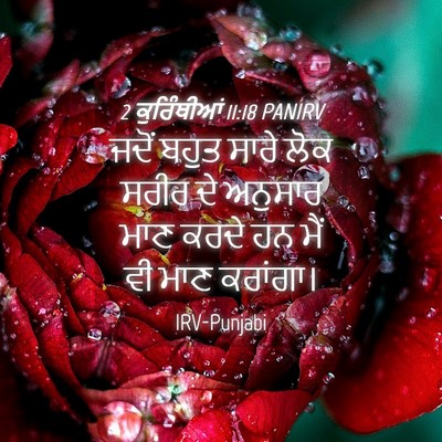 Picture 04 - 2 ਕੁਰਿੰਥੀਆਂ 11:18 PANIRV - ਜਦੋਂ ਬਹੁਤ ਸਾਰੇ ਲੋਕ - Bible Verse Picture