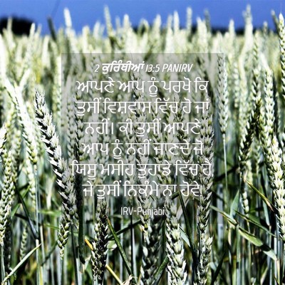 Picture 04 - 2 ਕੁਰਿੰਥੀਆਂ 13:5 PANIRV - ਆਪਣੇ ਆਪ ਨੂੰ ਪਰਖੋ ਕਿ - Bible Verse Picture