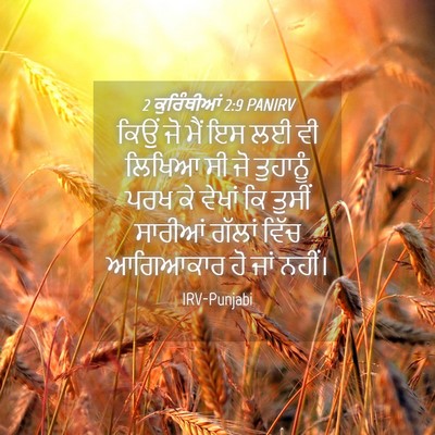 Picture 04 - 2 ਕੁਰਿੰਥੀਆਂ 2:9 PANIRV - ਕਿਉਂ ਜੋ ਮੈਂ ਇਸ ਲਈ - Bible Verse Picture