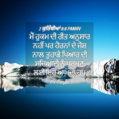 Picture 04 - 2 ਕੁਰਿੰਥੀਆਂ 8:8 PANIRV - ਮੈਂ ਹੁਕਮ ਦੀ ਰੀਤ - Bible Verse Picture