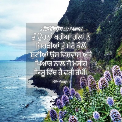 Picture 04 - 2 ਤਿਮੋਥਿਉਸ 1:13 PANIRV - ਤੂੰ ਉਹਨਾਂ ਖਰੀਆਂ - Bible Verse Picture