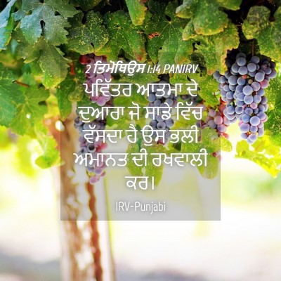 Picture 04 - 2 ਤਿਮੋਥਿਉਸ 1:14 PANIRV - ਪਵਿੱਤਰ ਆਤਮਾ ਦੇ - Bible Verse Picture