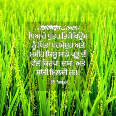 Picture 04 - 2 ਤਿਮੋਥਿਉਸ 1:2 PANIRV - ਪਿਆਰੇ ਪੁੱਤਰ - Bible Verse Picture