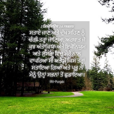 Picture 04 - 2 ਤਿਮੋਥਿਉਸ 3:11 PANIRV - ਸਤਾਏ ਜਾਣ ਅਤੇ ਦੁੱਖ - Bible Verse Picture