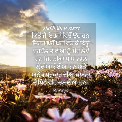 Picture 04 - 2 ਤਿਮੋਥਿਉਸ 3:6 PANIRV - ਕਿਉਂ ਜੋ ਇਹਨਾਂ - Bible Verse Picture