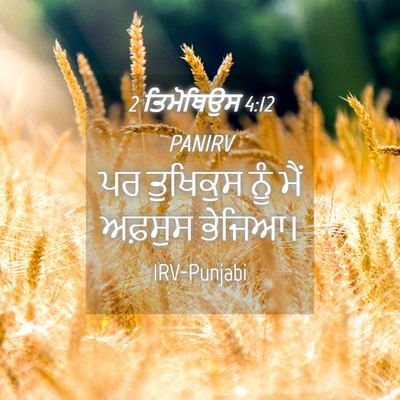 Picture 04 - 2 ਤਿਮੋਥਿਉਸ 4:12 PANIRV - ਪਰ ਤੁਖਿਕੁਸ ਨੂੰ ਮੈਂ - Bible Verse Picture