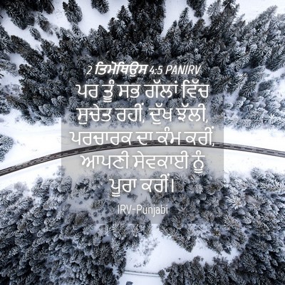 Picture 04 - 2 ਤਿਮੋਥਿਉਸ 4:5 PANIRV - ਪਰ ਤੂੰ ਸਭ ਗੱਲਾਂ - Bible Verse Picture