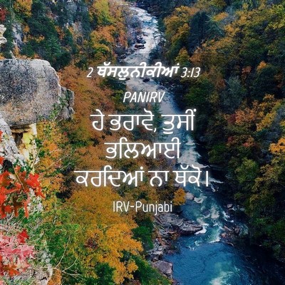Picture 04 - 2 ਥੱਸਲੁਨੀਕੀਆਂ 3:13 PANIRV - ਹੇ ਭਰਾਵੋ, ਤੁਸੀਂ - Bible Verse Picture