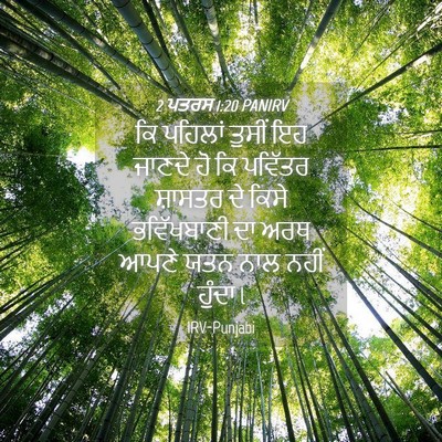 Picture 04 - 2 ਪਤਰਸ 1:20 PANIRV - ਕਿ ਪਹਿਲਾਂ ਤੁਸੀਂ ਇਹ - Bible Verse Picture