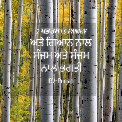 Picture 04 - 2 ਪਤਰਸ 1:6 PANIRV - ਅਤੇ ਗਿਆਨ ਨਾਲ ਸੰਜਮ - Bible Verse Picture