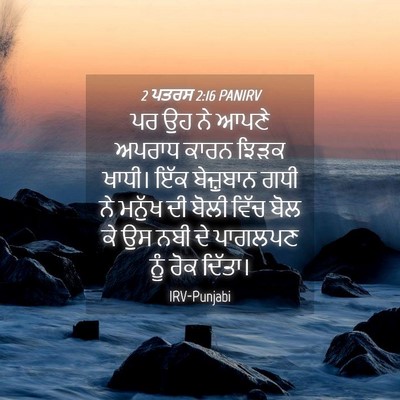 Picture 04 - 2 ਪਤਰਸ 2:16 PANIRV - ਪਰ ਉਹ ਨੇ ਆਪਣੇ ਅਪਰਾਧ - Bible Verse Picture