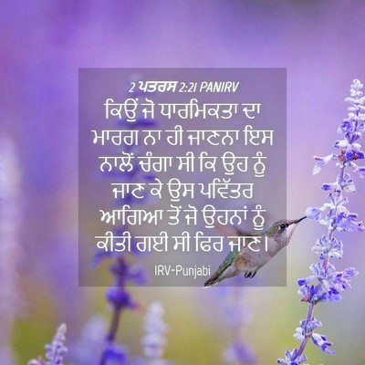 Picture 04 - 2 ਪਤਰਸ 2:21 PANIRV - ਕਿਉਂ ਜੋ ਧਾਰਮਿਕਤਾ - Bible Verse Picture