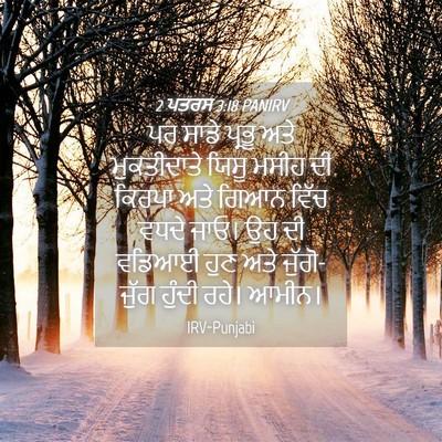 Picture 04 - 2 ਪਤਰਸ 3:18 PANIRV - ਪਰ ਸਾਡੇ ਪ੍ਰਭੂ ਅਤੇ - Bible Verse Picture