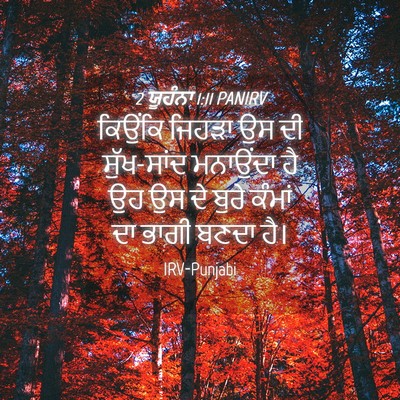 Picture 04 - 2 ਯੂਹੰਨਾ 1:11 PANIRV - ਕਿਉਂਕਿ ਜਿਹੜਾ ਉਸ ਦੀ - Bible Verse Picture
