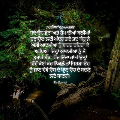 Picture 04 - 2 ਰਾਜਿਆਂ 10:24 PANIRV - ਜਦ ਉਹ ਭੇਟਾਂ ਅਤੇ ਹੋਮ - Bible Verse Picture