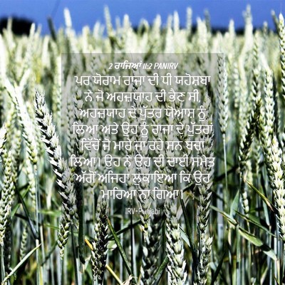 Picture 04 - 2 ਰਾਜਿਆਂ 11:2 PANIRV - ਪਰ ਯੋਰਾਮ ਰਾਜਾ ਦੀ ਧੀ - Bible Verse Picture