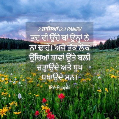 Picture 04 - 2 ਰਾਜਿਆਂ 12:3 PANIRV - ਤਦ ਵੀ ਉੱਚੇ ਥਾਂ - Bible Verse Picture