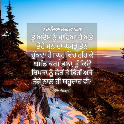Picture 04 - 2 ਰਾਜਿਆਂ 14:10 PANIRV - ਤੂੰ ਅਦੋਮ ਨੂੰ ਮਾਰਿਆ - Bible Verse Picture
