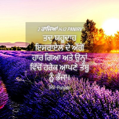 Picture 04 - 2 ਰਾਜਿਆਂ 14:12 PANIRV - ਤਦ ਯਹੂਦਾਹ ਇਸਰਾਏਲ - Bible Verse Picture